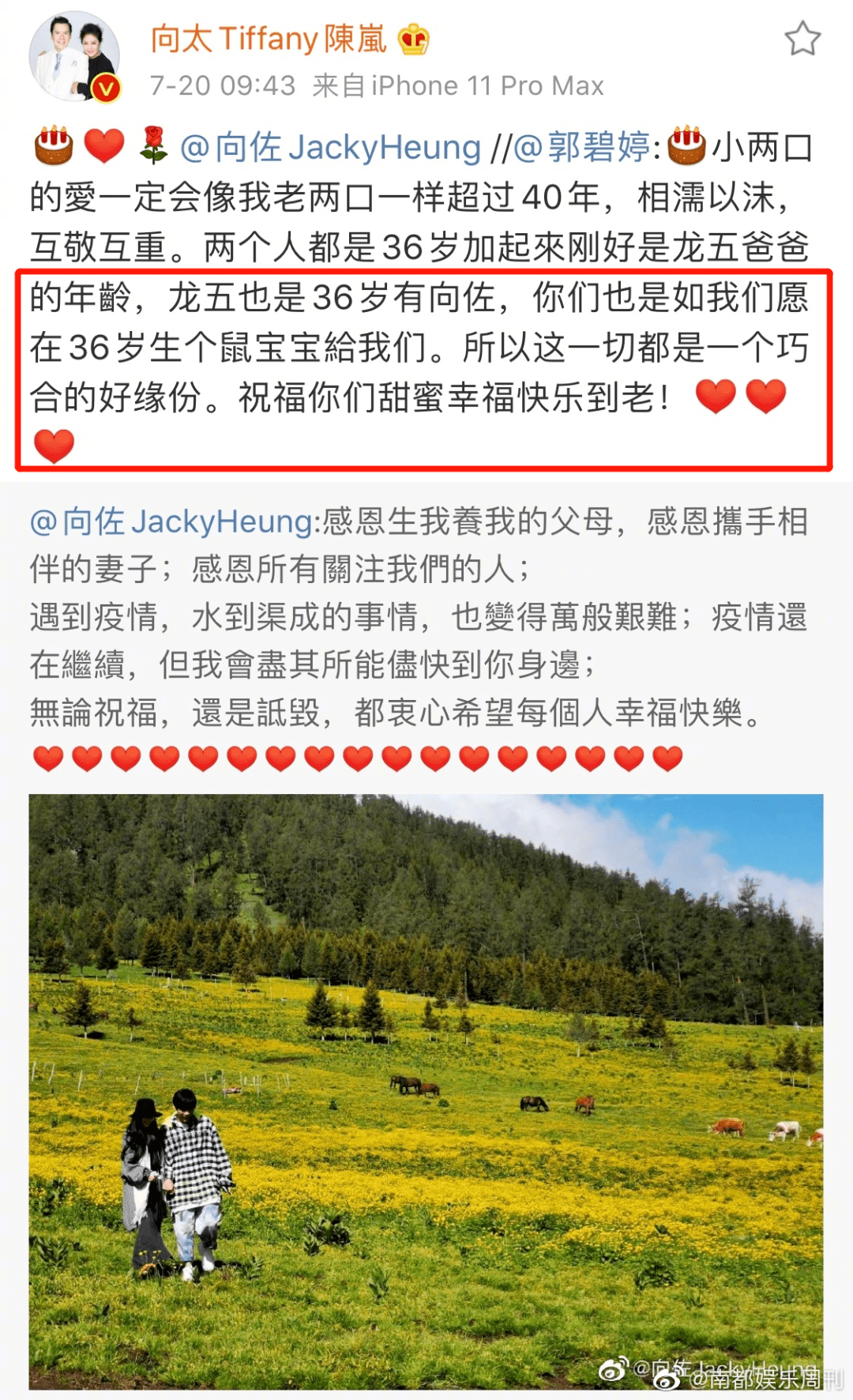 终于陪产？他们这婚结得太坎坷了