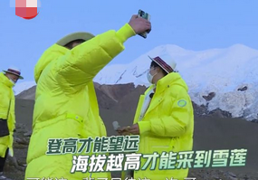 极限挑战刘宇宁摘国家保护植物遭专家打脸，争