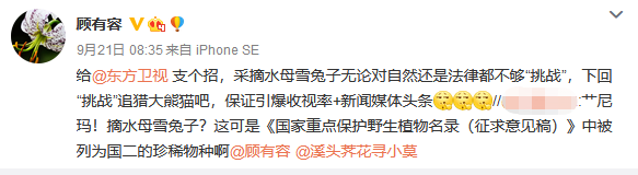 极限挑战刘宇宁摘国家保护植物遭专家打脸，争