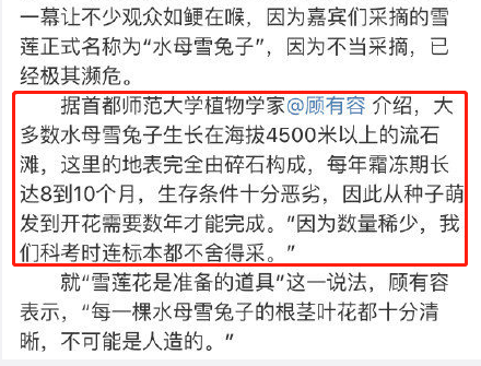 极限挑战刘宇宁摘国家保护植物遭专家打脸，争