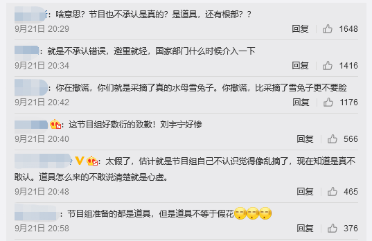 极限挑战刘宇宁摘国家保护植物遭专家打脸，争