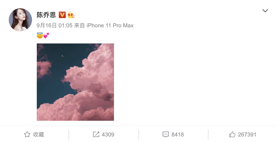 乔任梁妈妈为其庆33岁冥诞 陈乔恩伤感发文怀念