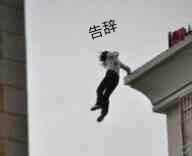 华为Mate40正式发布：性能秒天秒地，相机干翻友