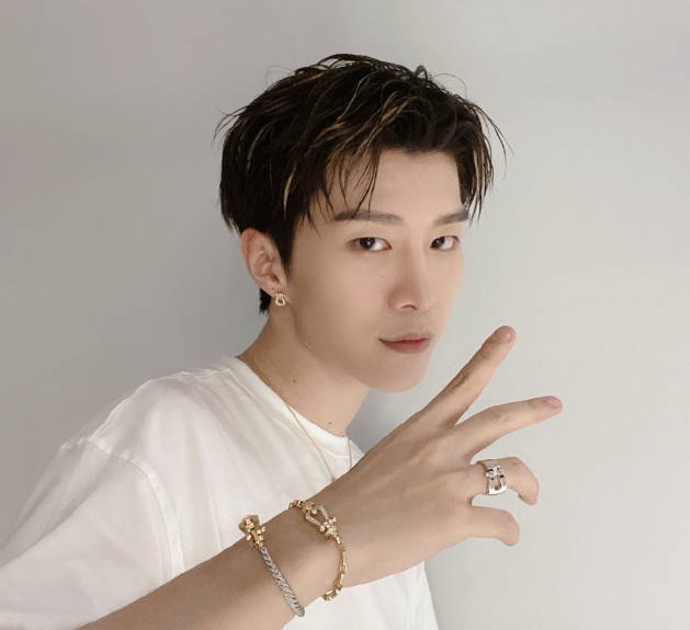 金星评范丞丞没代表作,两年后市场不再眷顾他