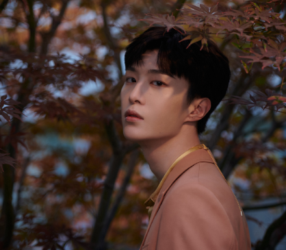 金星评范丞丞没代表作,两年后市场不再眷顾他