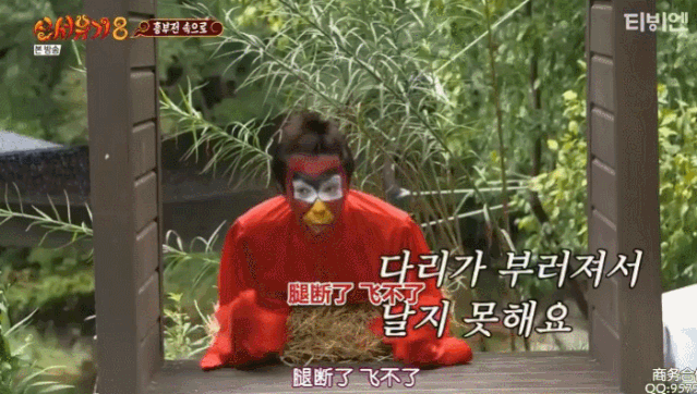 刚开播就冲到豆瓣9.6，爷的快乐源泉回来了