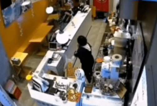 南京一野猪闯进奶茶店吓坏女店员 惊声尖叫一跃