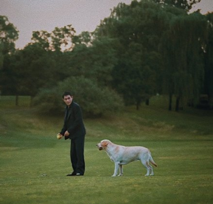 朱一龙频被嘲老，受访称现在年龄精力都是最好