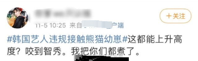 韩国女团违规抱熊猫幼崽后，粉丝与防弹粉互骂