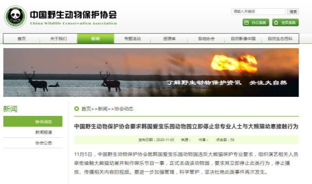 韩国女团违规抱熊猫幼崽后，粉丝与防弹粉互骂