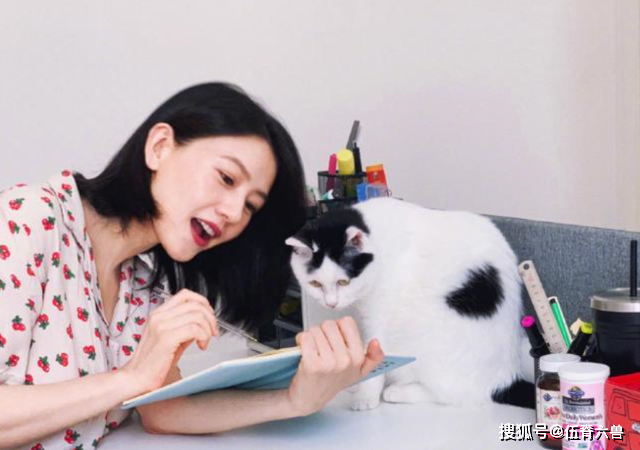 “高圆圆老公”标签太难撕?赵又廷:挺好的