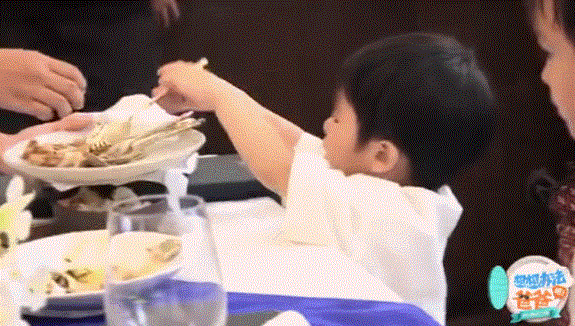 年度最难产综艺,看完姨母心爆棚