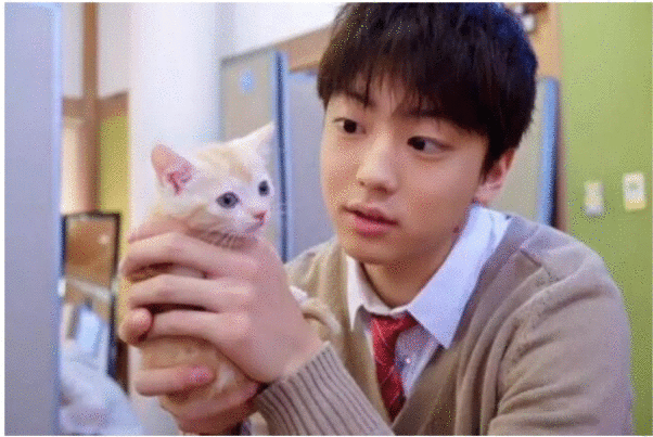 肇事逃逸、逼女友堕胎、家暴虐猫!伊藤健太郎