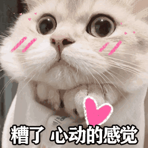 霸气抢亲名场面:《锦衣之下》上榜,《香蜜》