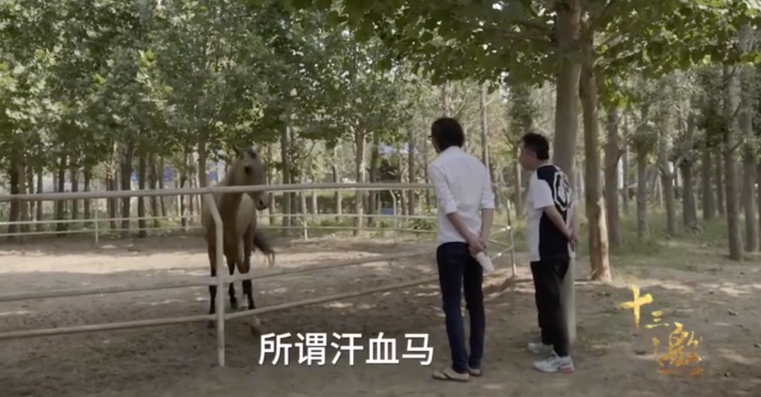 《幸福三重奏》三对夫妻谁最有钱？于谦有私人