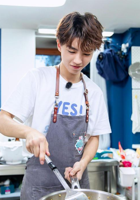 TFBOYS发展对标三大天王：王源可模仿张学友，千