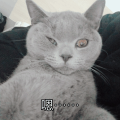 林更新新剧热播，和绯闻女友激吻，变身非典型