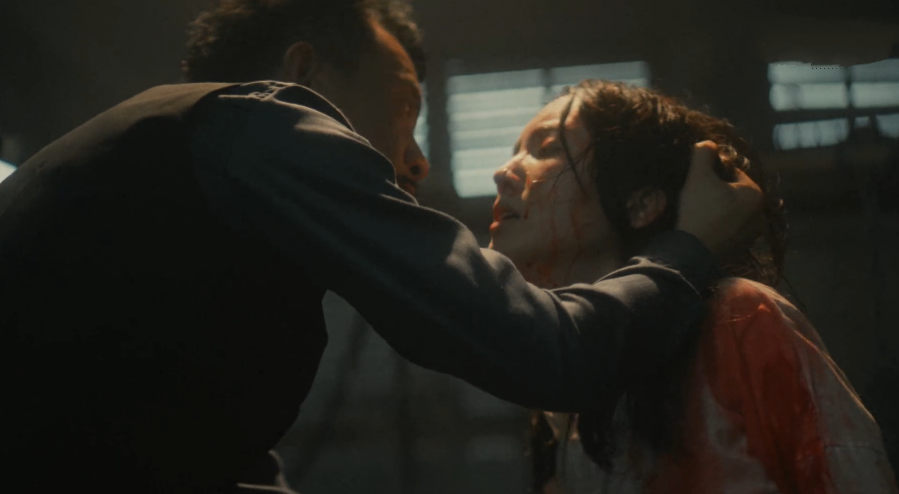 隐秘而伟大:沈青禾带着磺胺粉是智商下线?其