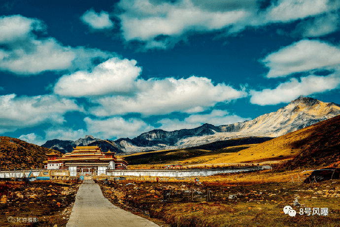 几秒火遍全国，也就只有他了