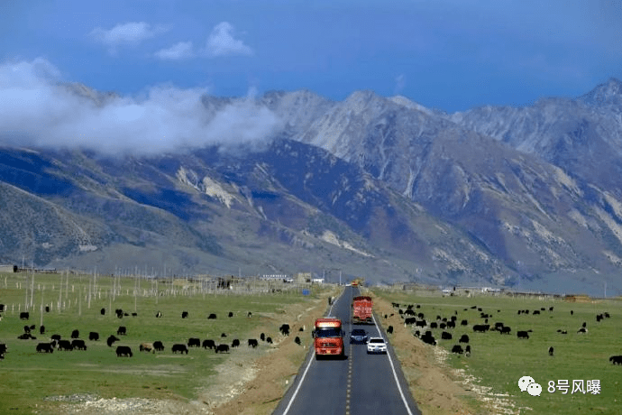 几秒火遍全国，也就只有他了