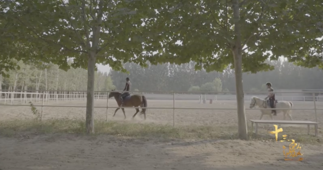 《幸福三重奏》三对夫妻谁最有钱?于谦有私人