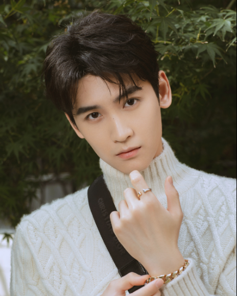 H姓小鲜肉为了事业傍富婆?出轨多次让女友吃药