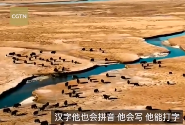 丁真同事否认其是文盲：他会拼音会打字，我们