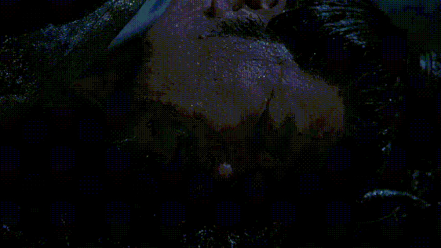 《狼殿下》：狼系男友爱到欲罢不能，她才不是