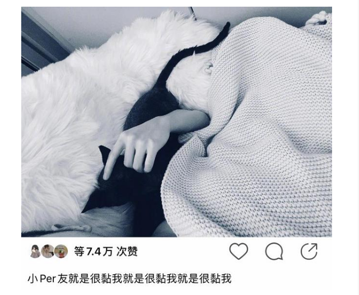 消失100天,华晨宇回归老年作息,迷上擦地,手