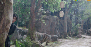 《有翡》将播片方发新预告翻车，男女主全无C