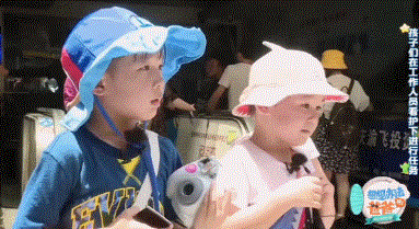 年度最难产综艺,看完姨母心爆棚