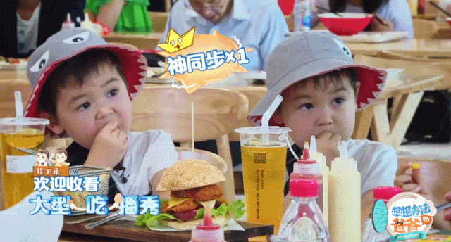 年度最难产综艺，看完姨母心爆棚