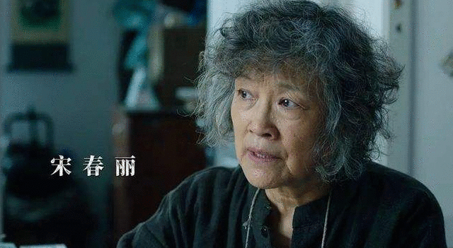 《巡回检察组》男戏骨太多,女一韩雪显苍白,