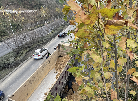 高峰期，贵阳甲秀南路严重拥堵！原来是因为它