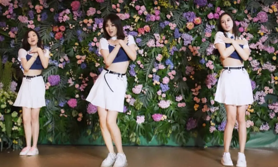 任正非小女儿疑进军娱乐圈,相貌与姐姐差别大