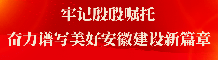 通告！事关全市医疗保险信息系统！