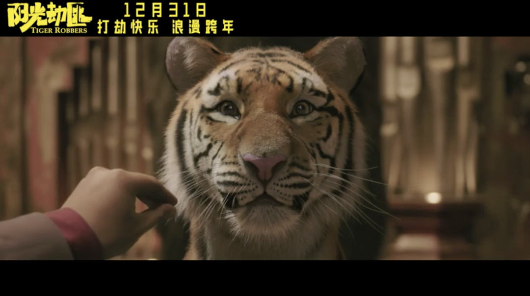 超豪华,12月的新片也太太太太猛了!