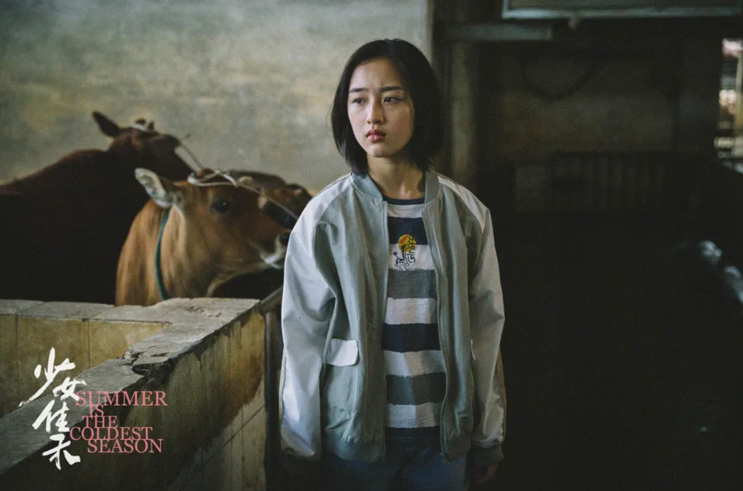 超豪华,12月的新片也太太太太猛了!