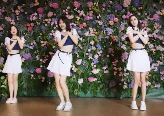 生日当天宣布出道,姚安娜不止是华为二公主,